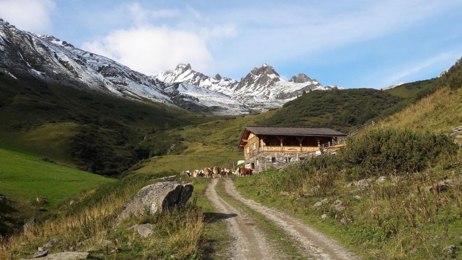 Mooserhof Campo Tures Eksteriør billede