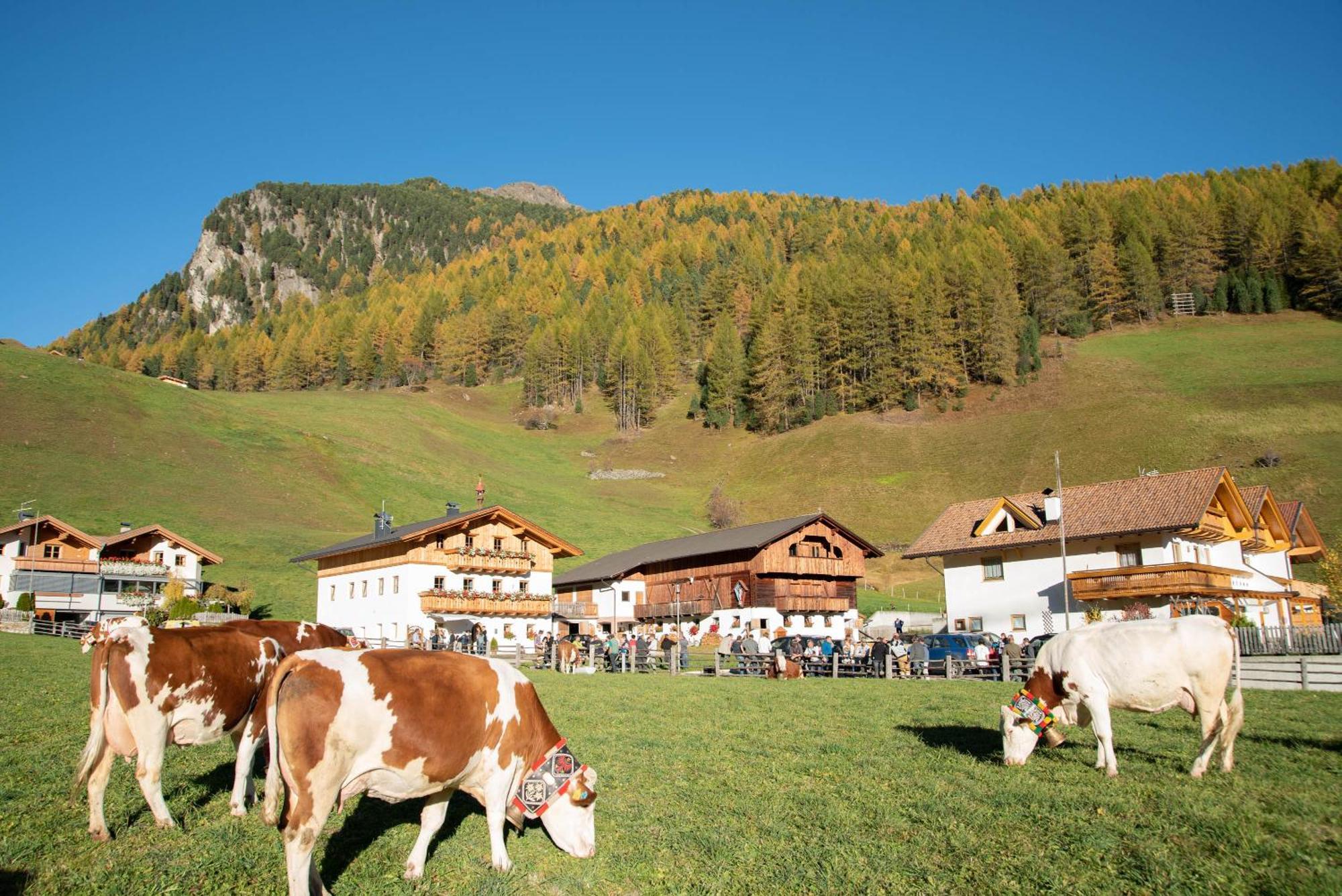Mooserhof Campo Tures Eksteriør billede